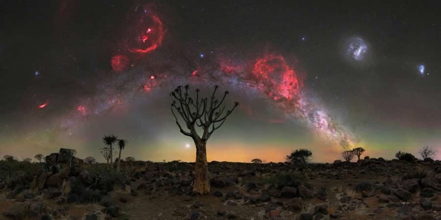 Quiver Tree Under the Red Flame of Orion, Namibia by Egor Goryachev, Germany - 2025 Epson International Pano Awards Landscape Winners