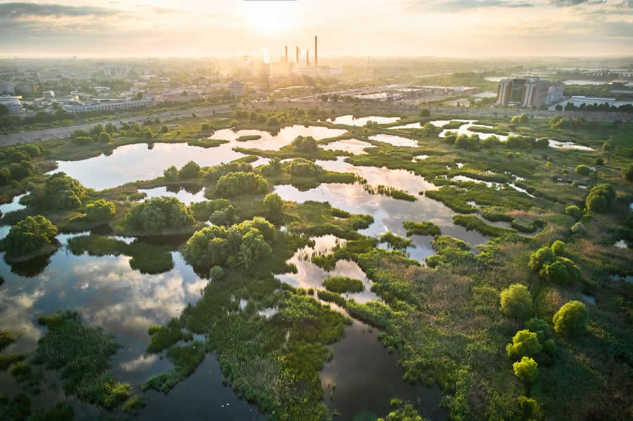 The green heart of Bucharest by Zoltán Gergely Nagy - 2025 European Wildlife Photographer of the Year Awards