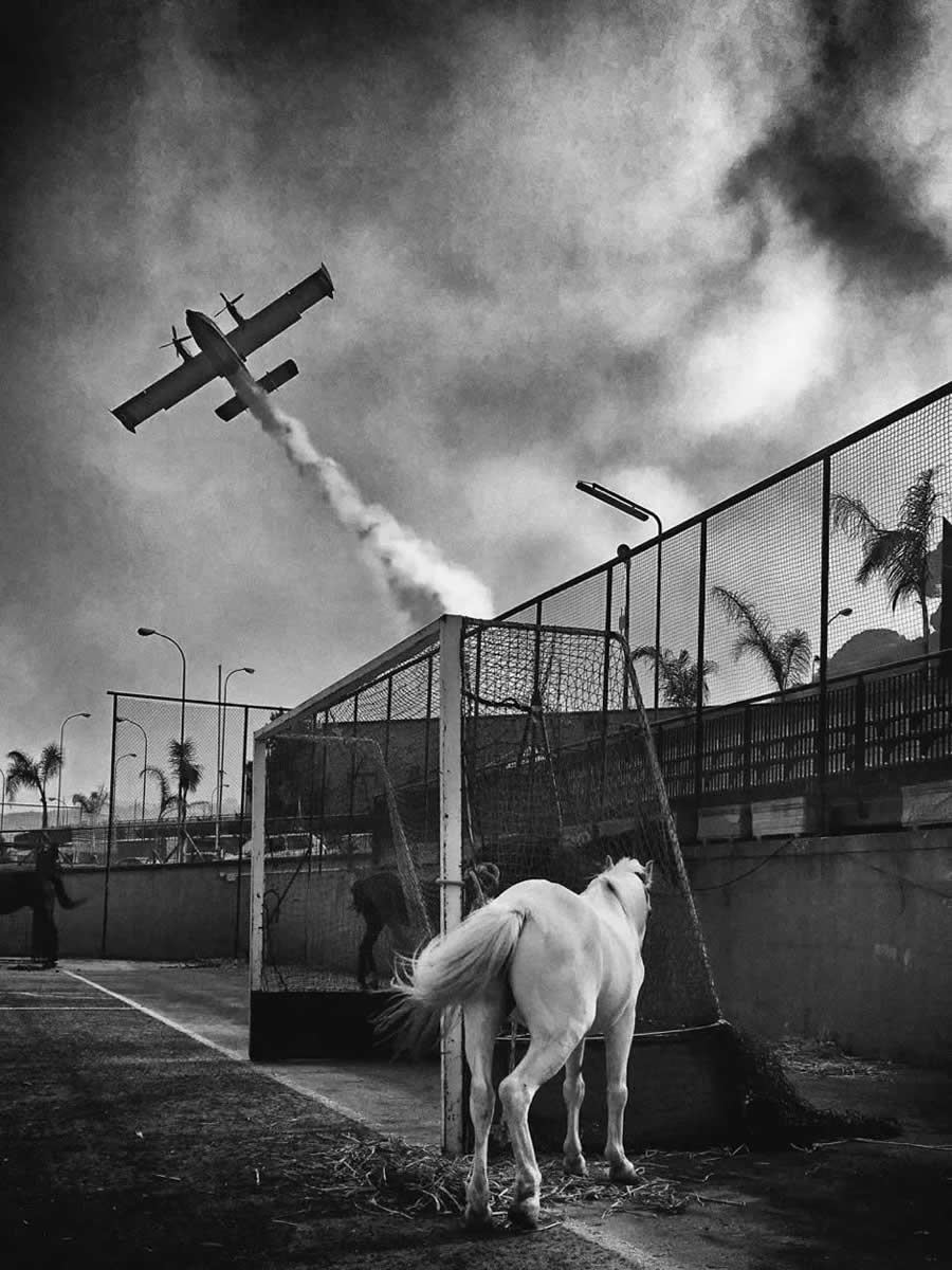 Horse & Canadair by Simona Bonanno, Italy - Eyeshot Photography Open Call 2025 Winners