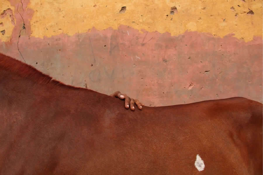 Love by Aniruddha Guha Sarkar, India - Eyeshot Photography Open Call 2025 Winners