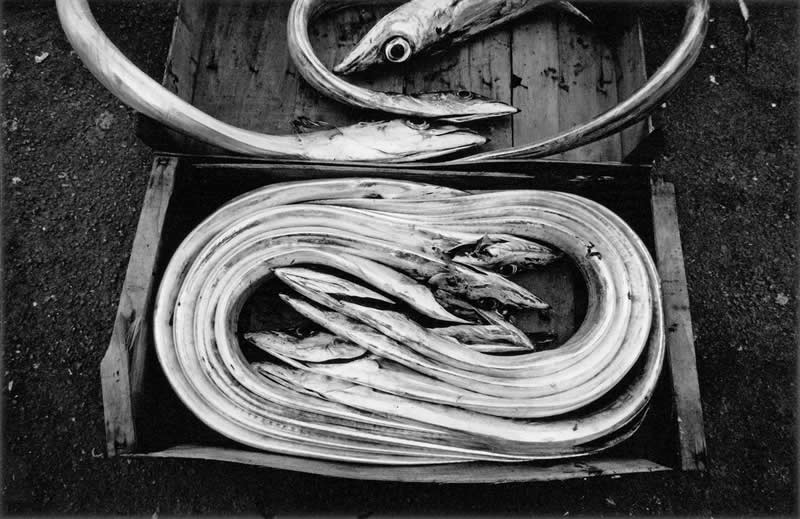 Master Photographer Ferdinando Scianna