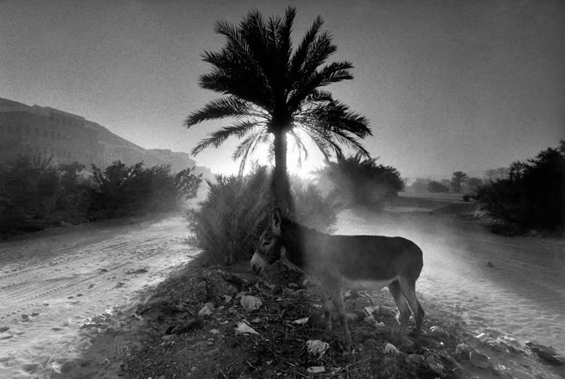 Master Photographer Ferdinando Scianna