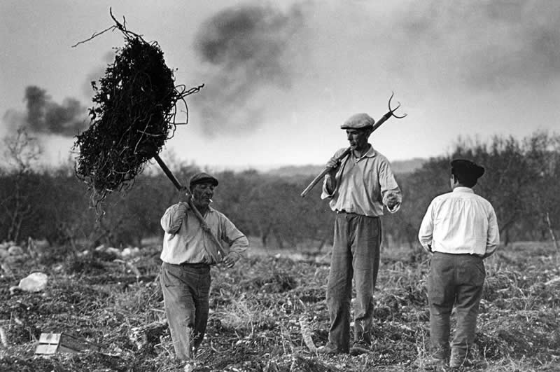 Master Photographer Ferdinando Scianna
