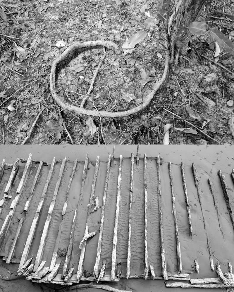 Fragments of a Changing Earth - Realities of Climate Change by Ab Rashid