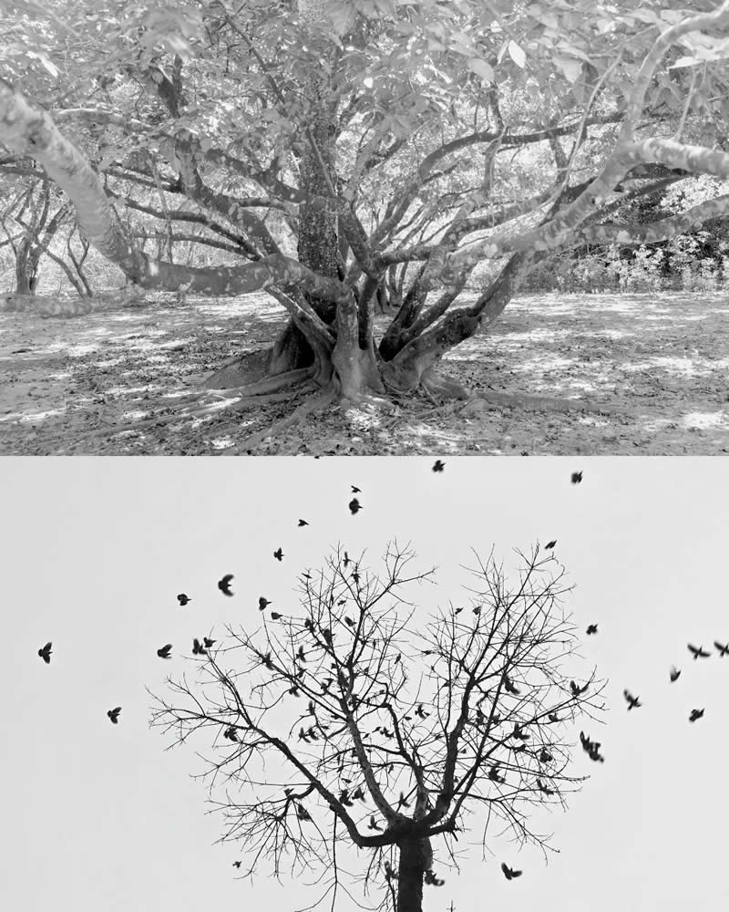 Fragments of a Changing Earth - Realities of Climate Change by Ab Rashid