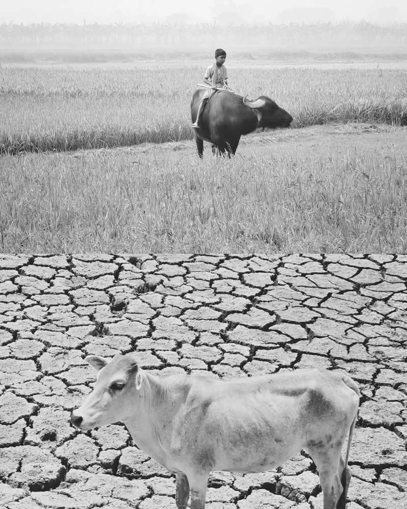 Fragments of a Changing Earth - Realities of Climate Change by Ab Rashid