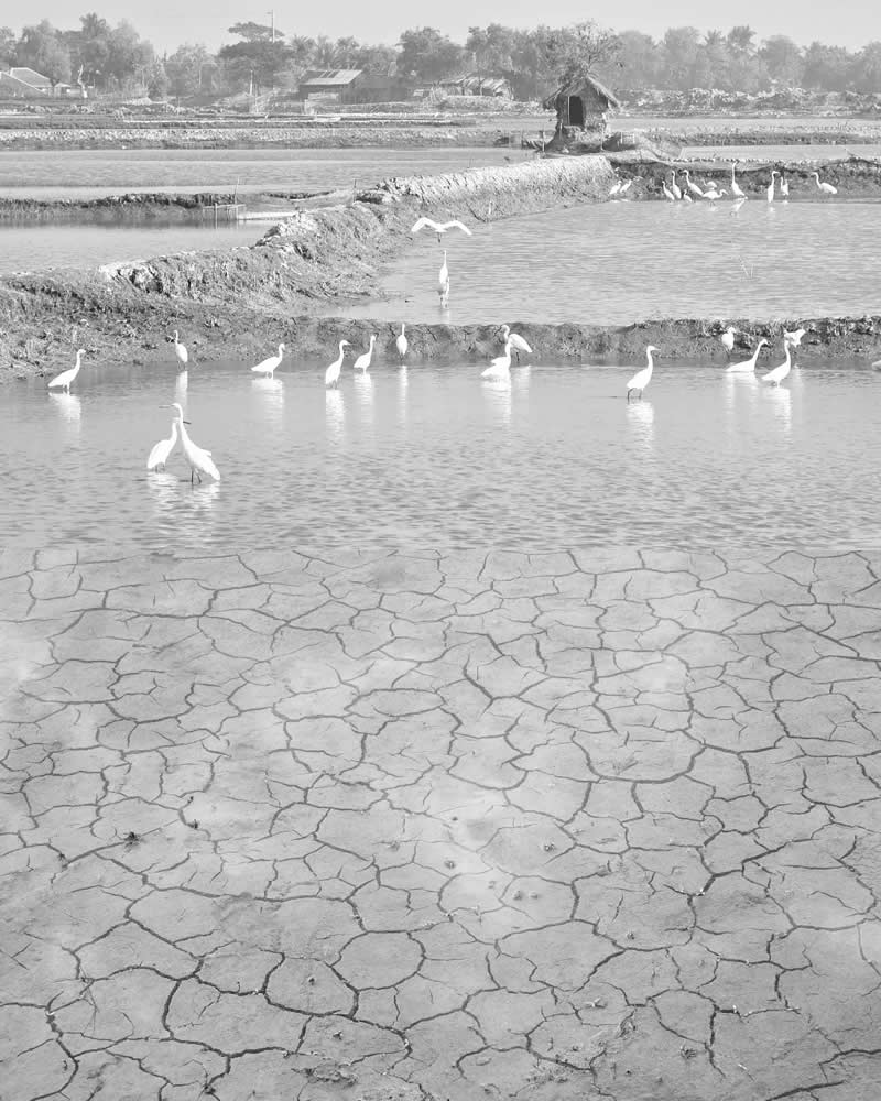 Fragments of a Changing Earth - Realities of Climate Change by Ab Rashid