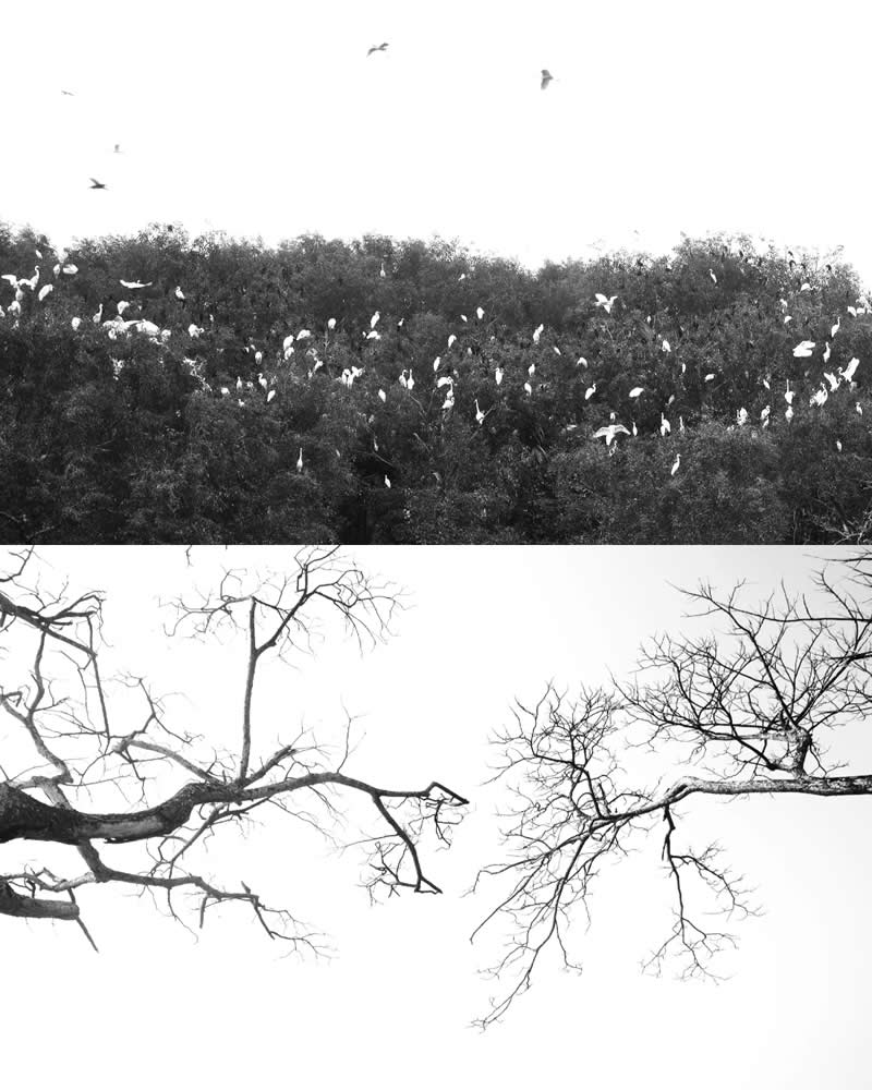 Fragments of a Changing Earth - Realities of Climate Change by Ab Rashid