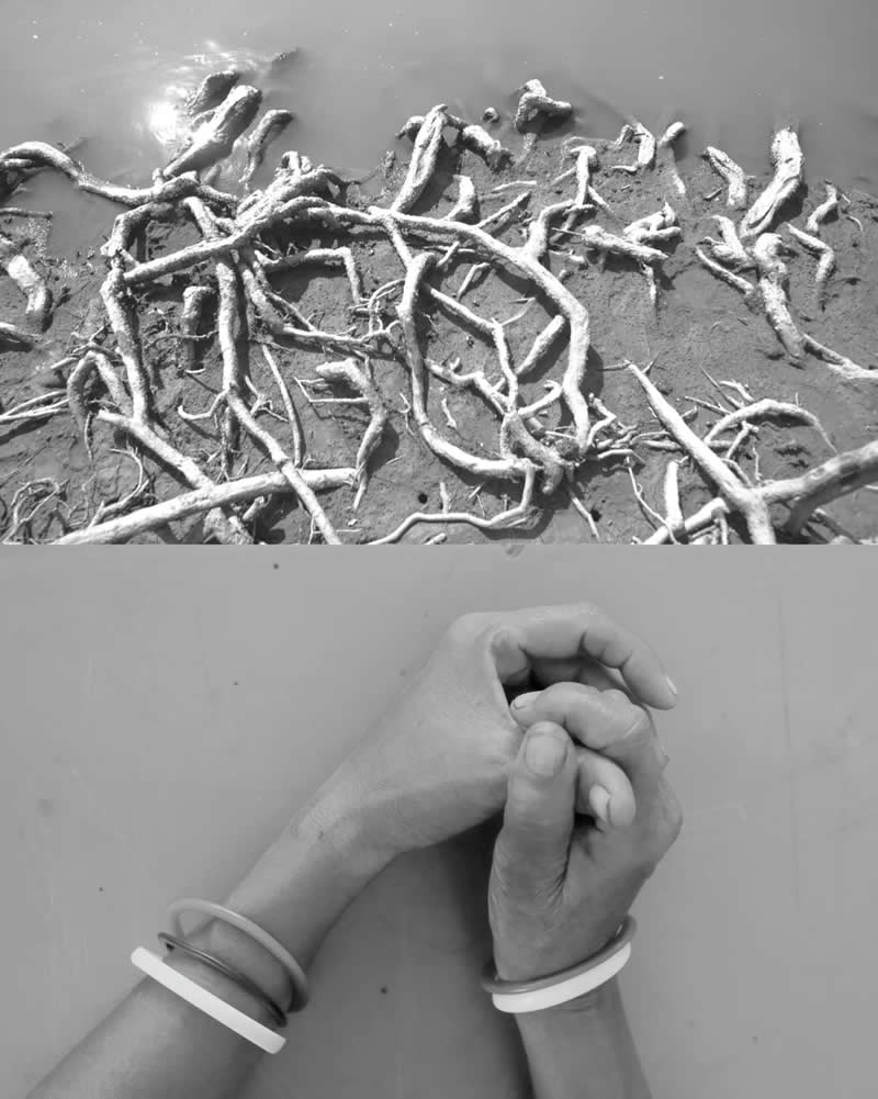 Fragments of a Changing Earth - Realities of Climate Change by Ab Rashid