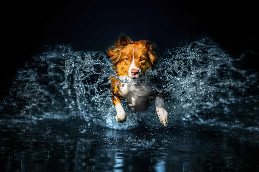 In the Heart of Splash by Lucie Nermutova - Global Photography Awards 2025 Winners