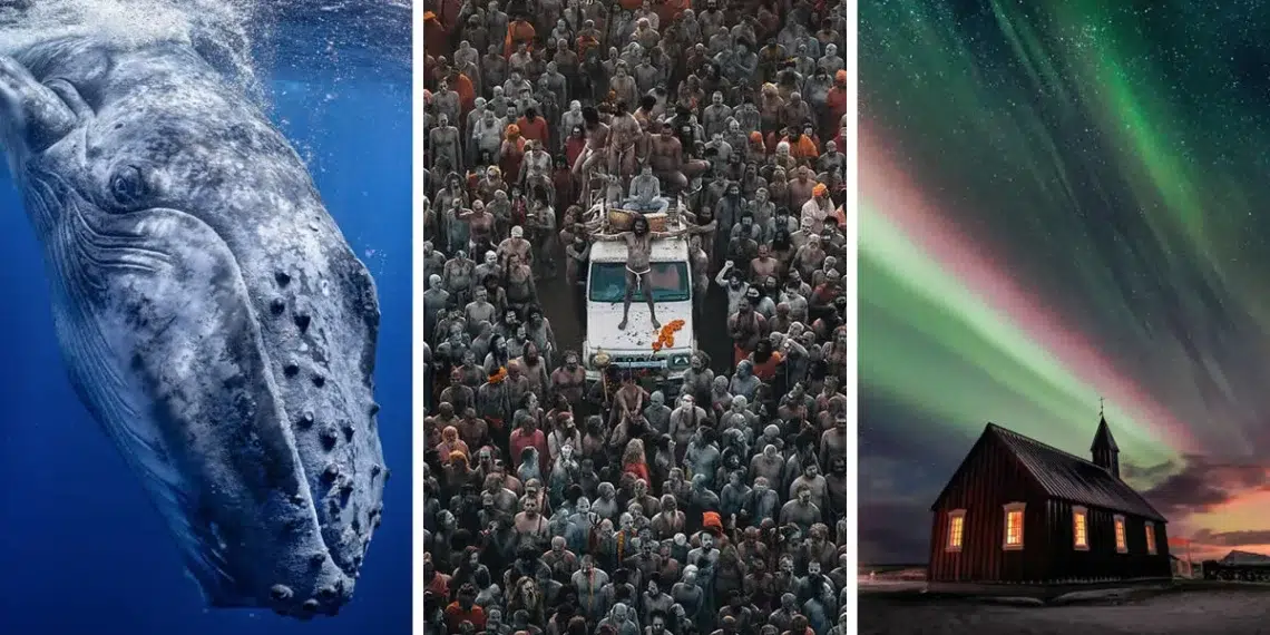 global photography awards 2025 winners
