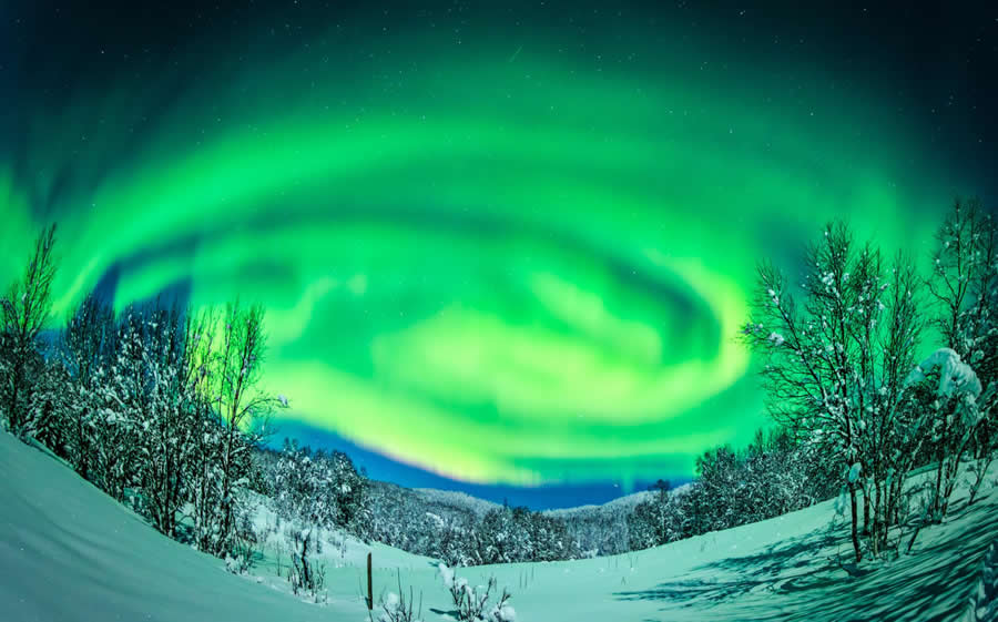 Fantasy Northern Lights by Shirley Wung - Global Photography Awards 2025 Winners