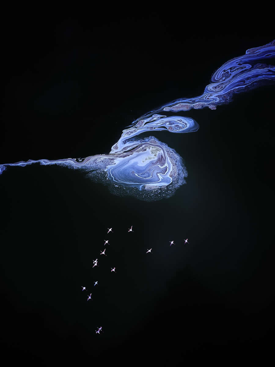 Flight of the pink flamingoes by David Beavis - Global Photography Awards 2025 Winners