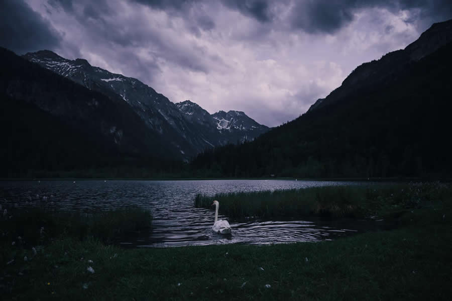 Echoes of a Living Landscape: Between Stillness and Motionby James Malikey - Global Photography Awards 2025 Winners