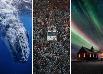global photography awards 2025 winners