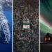 global photography awards 2025 winners