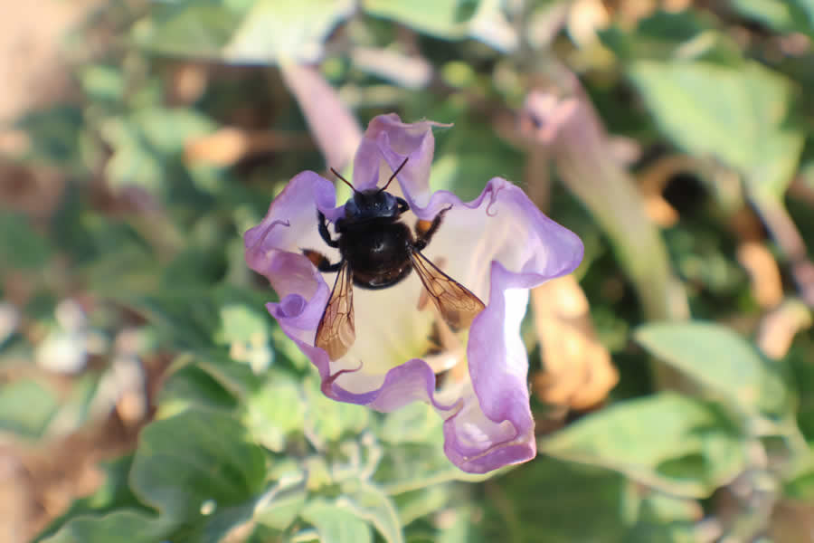 Gurushots Spring Snapshots Photo Challenge Winners