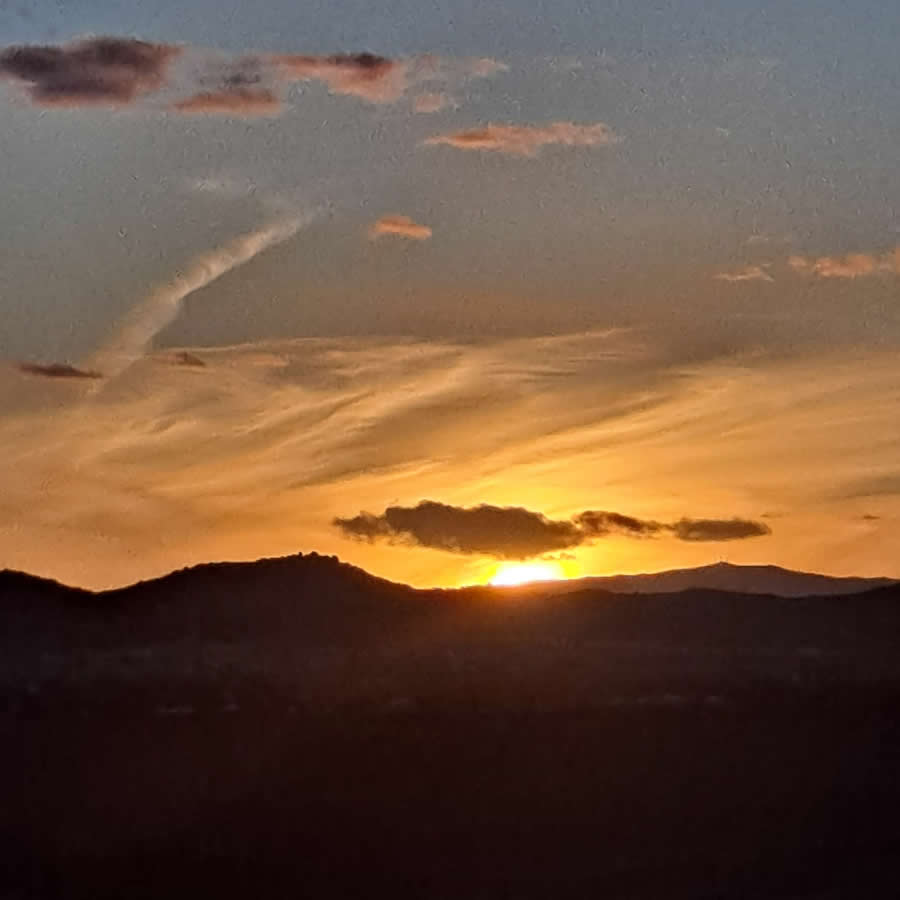 Gurushots Spring Snapshots Photo Challenge Winners