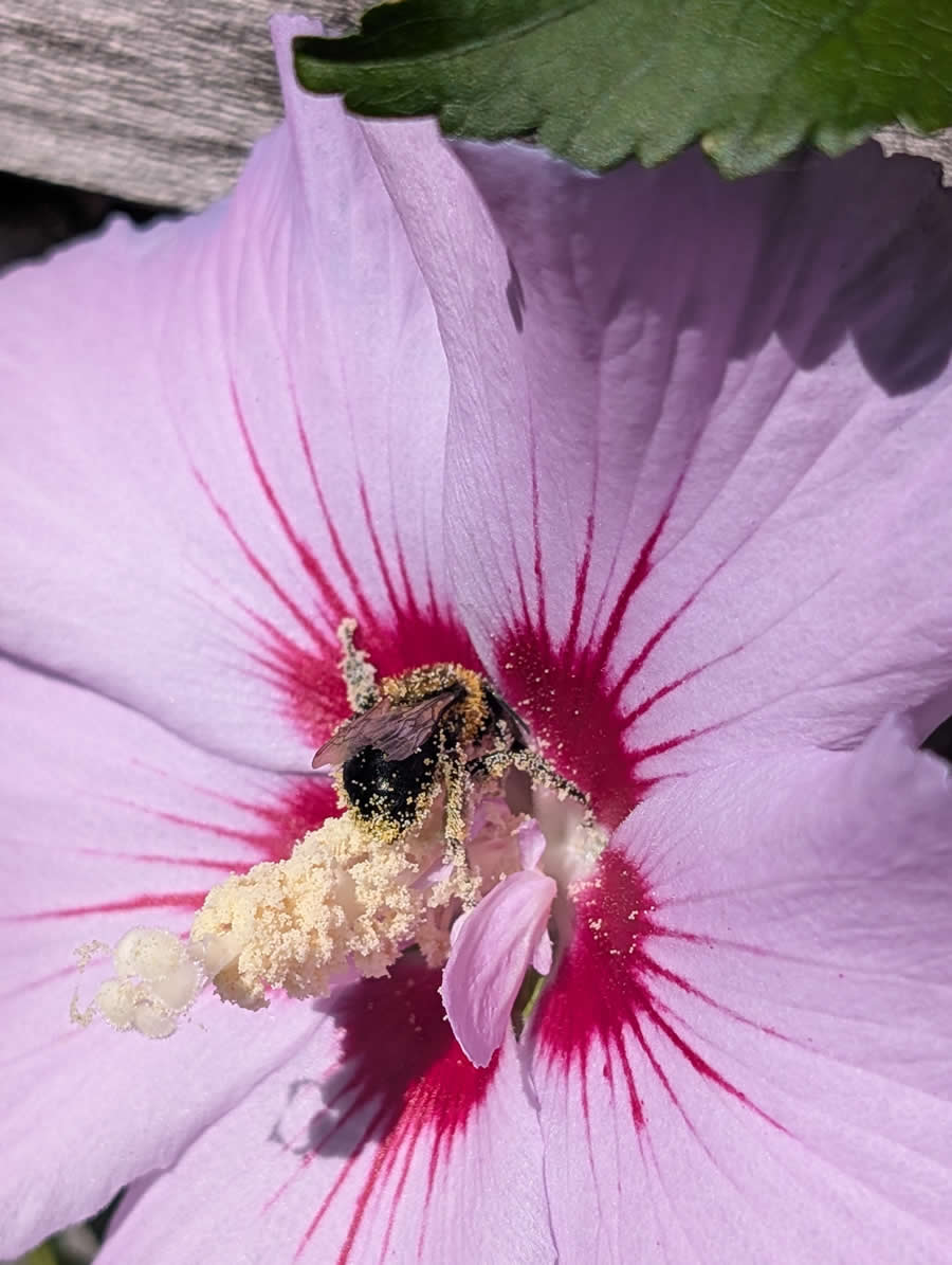 Gurushots Spring Snapshots Photo Challenge Winners