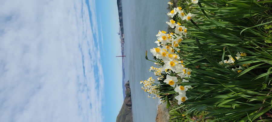 Gurushots Spring Snapshots Photo Challenge Winners