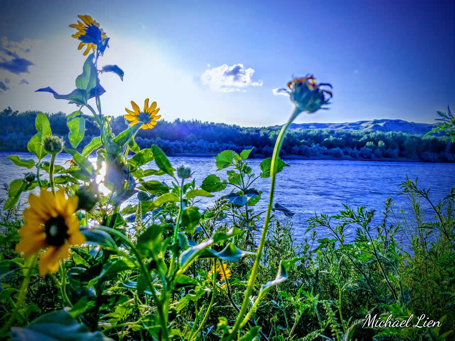 Gurushots Spring Snapshots Photo Challenge Winners