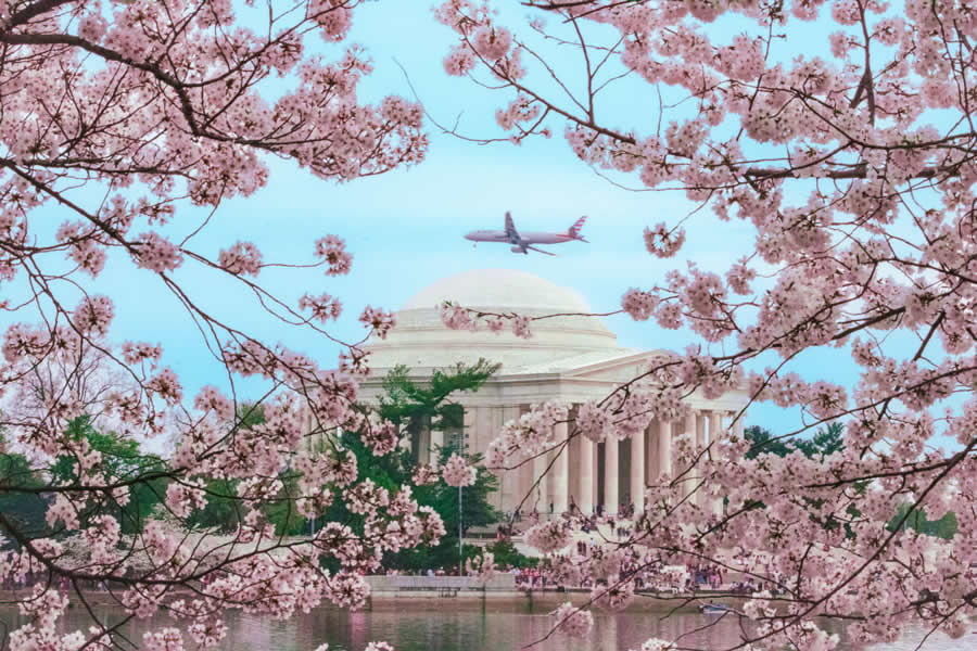 Gurushots Spring Snapshots Photo Challenge Winners