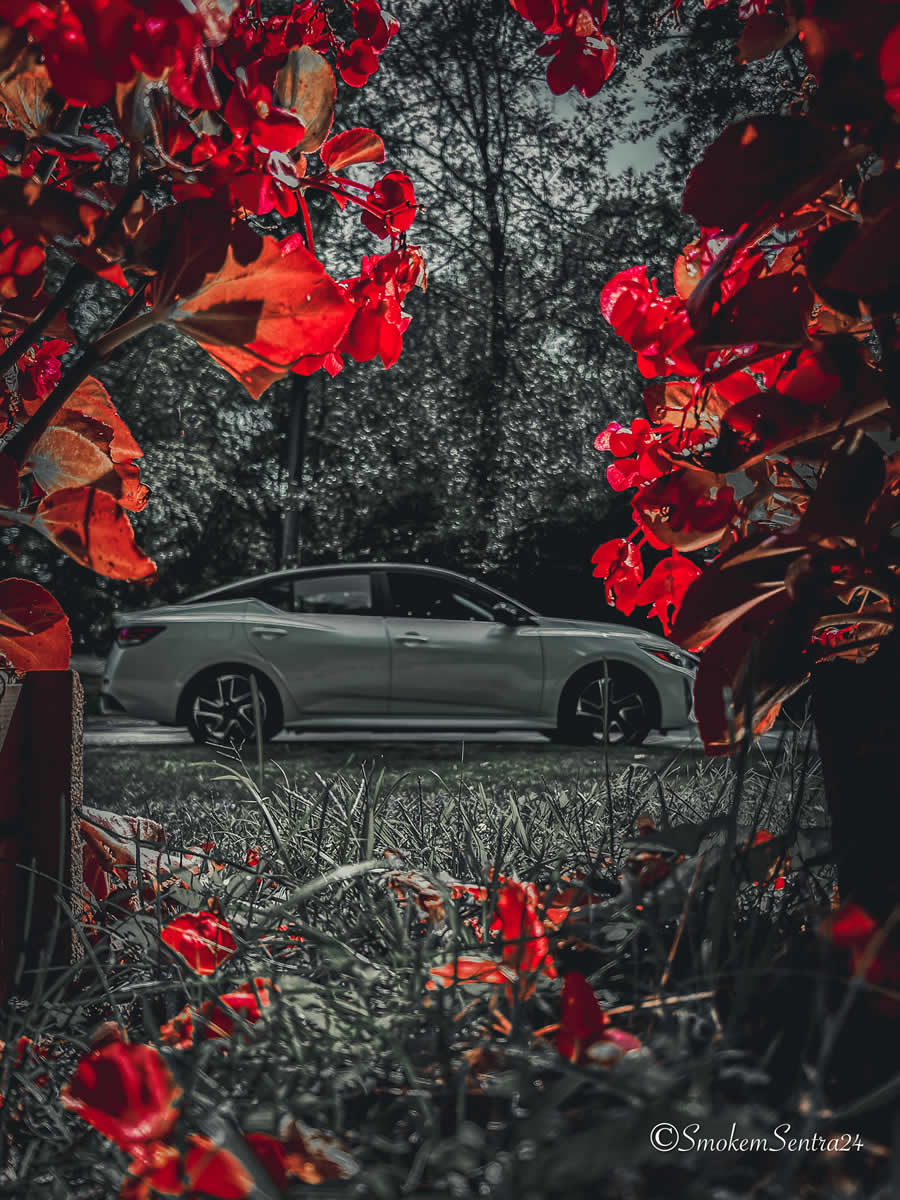 Gurushots Spring Snapshots Photo Challenge Winners