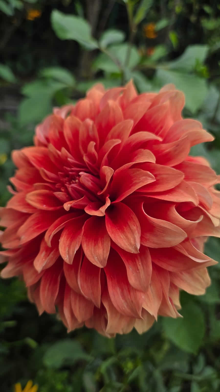 Gurushots Spring Snapshots Photo Challenge Winners