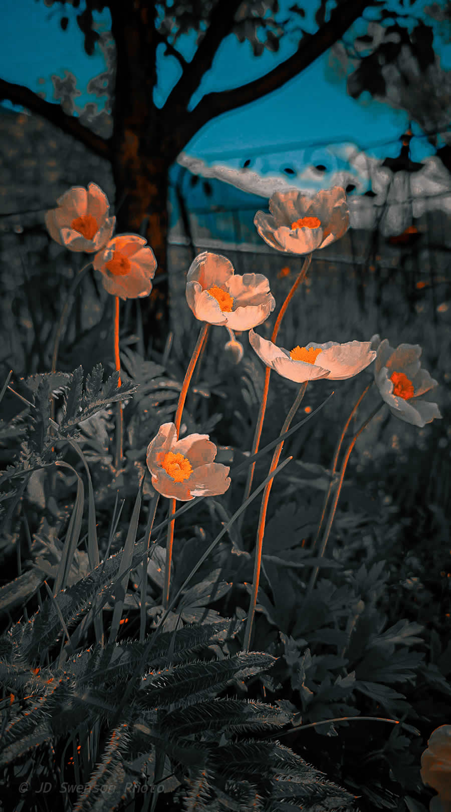 Gurushots Spring Snapshots Photo Challenge Winners