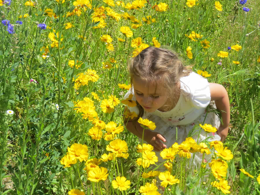 Gurushots Spring Snapshots Photo Challenge Winners