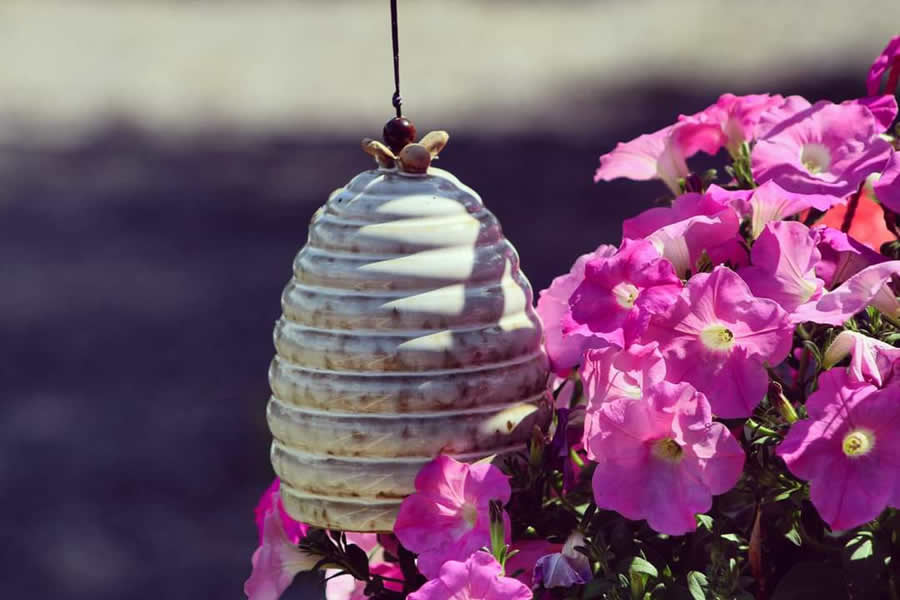 Gurushots Spring Snapshots Photo Challenge Winners