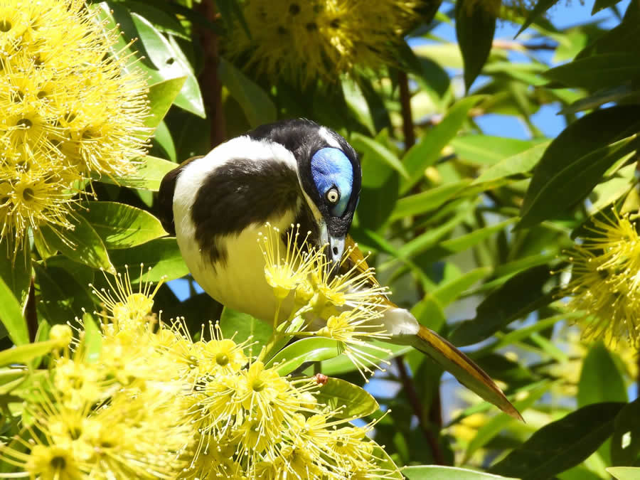 Gurushots Spring Snapshots Photo Challenge Winners