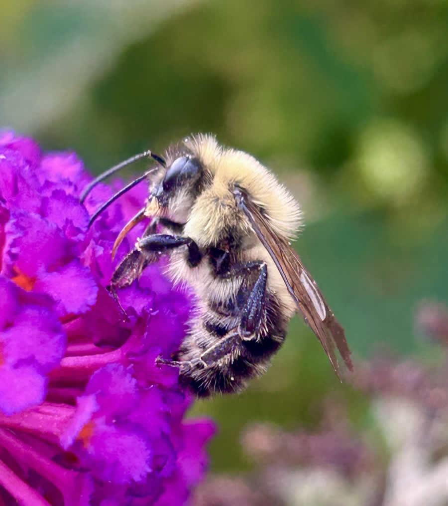 Gurushots Spring Snapshots Photo Challenge Winners