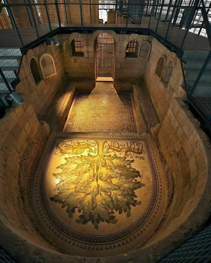 The 8th-century Mosaic of the Tree of Life lies among the ruins of Hisham’s Palace near Jericho in the West Bank, Palestine - Hidden Beauty of Our World