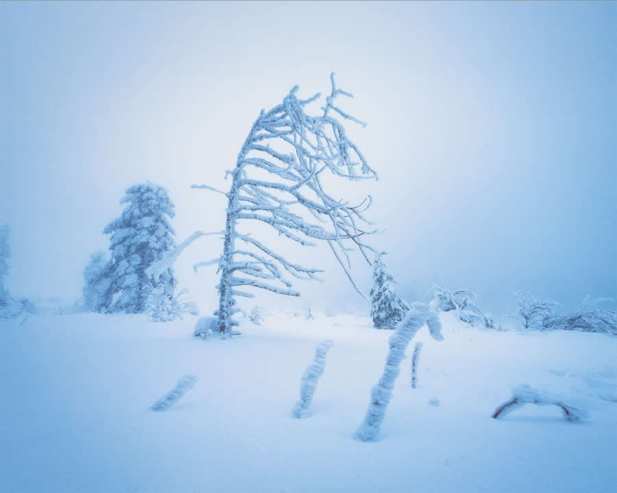Iceland Frozen Heart by Radoslav Sviretsov