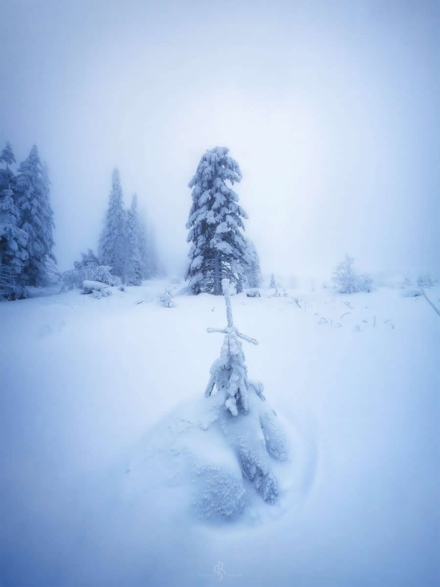 Iceland Frozen Heart by Radoslav Sviretsov