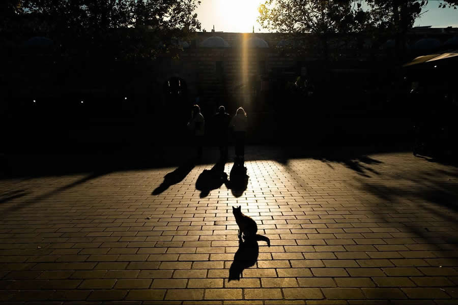 Istanbul Street Photography by Meltem Bilir