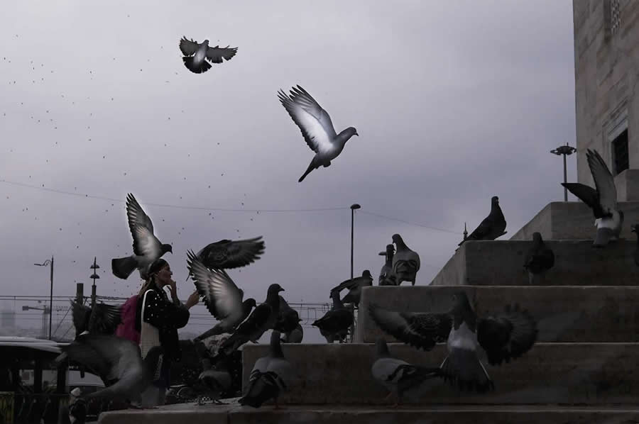 Istanbul Street Photography by Meltem Bilir