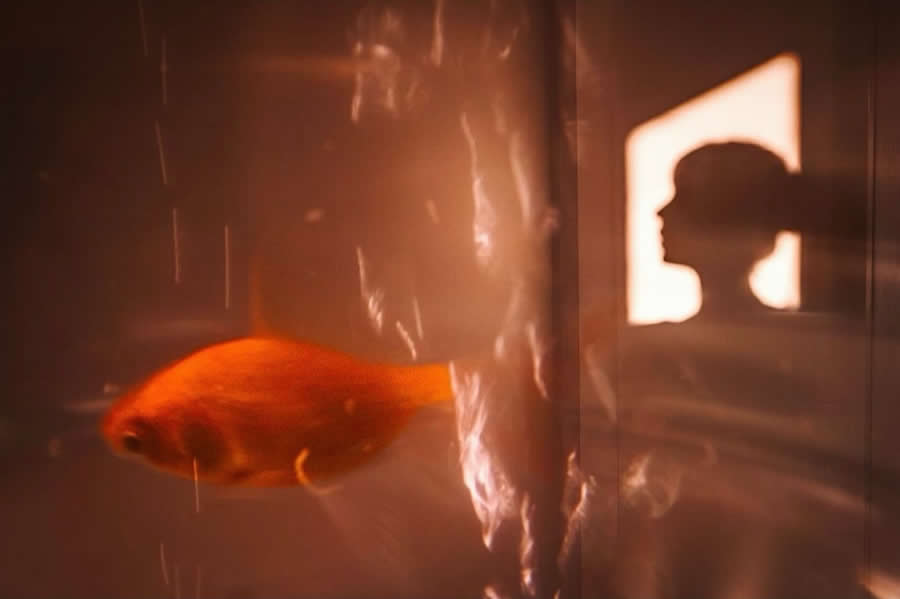 Istanbul Street Photography by Meltem Bilir