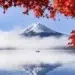 japan photography lu hasegawa