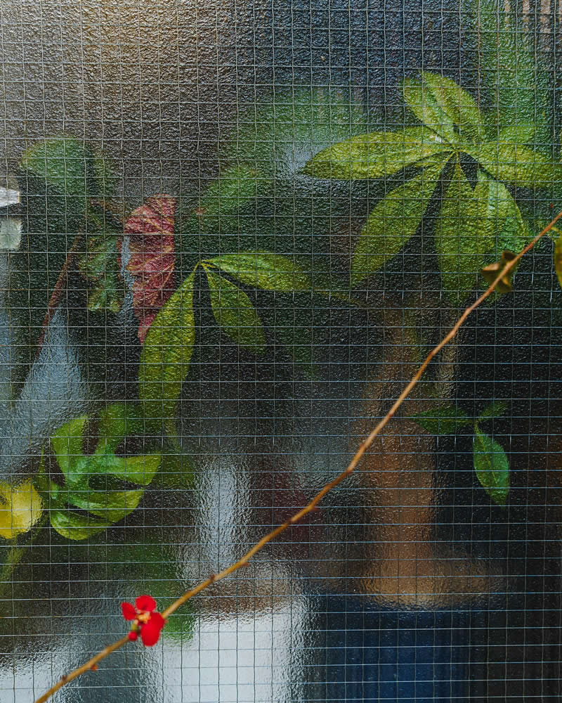 Tokyo Through Its Windows by Jose Javier Serrano Yosigo