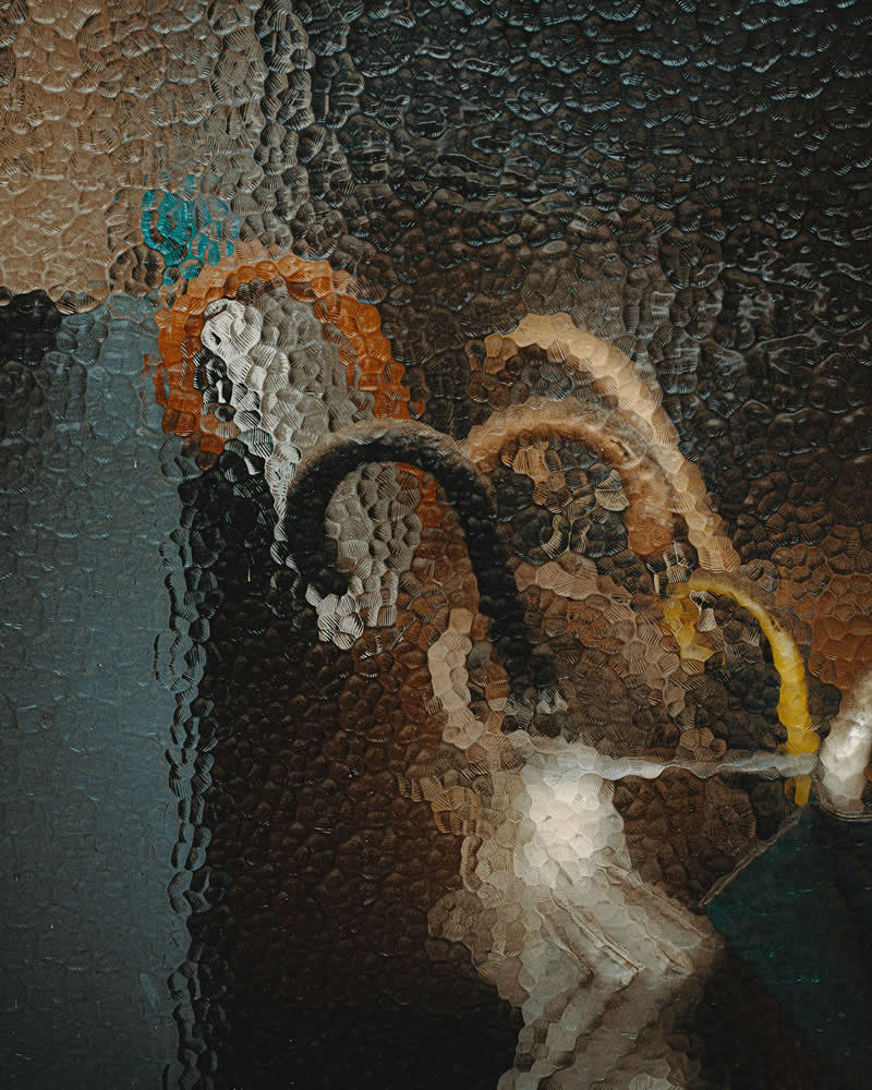 Tokyo Through Its Windows by Jose Javier Serrano Yosigo