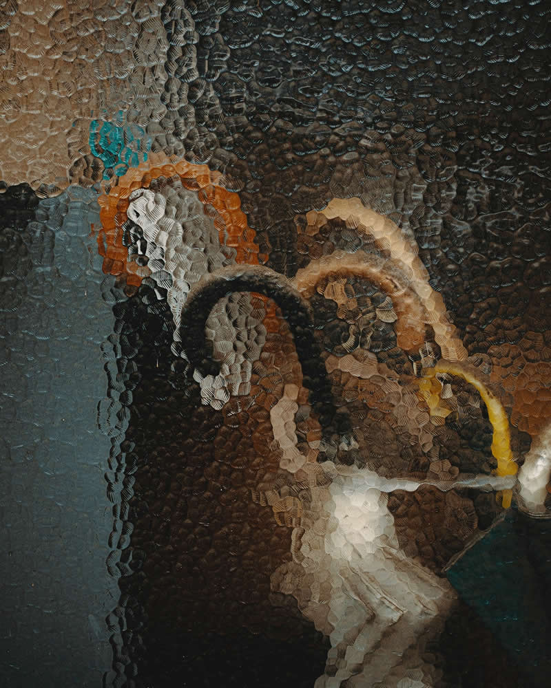 Tokyo Through Its Windows by Jose Javier Serrano Yosigo