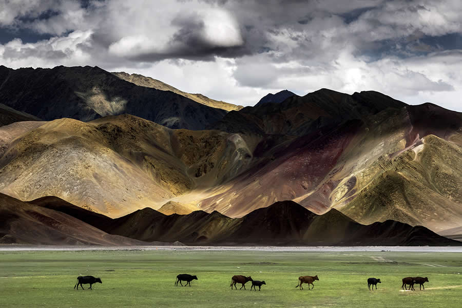 Landscape Photography by Jhuma Datta