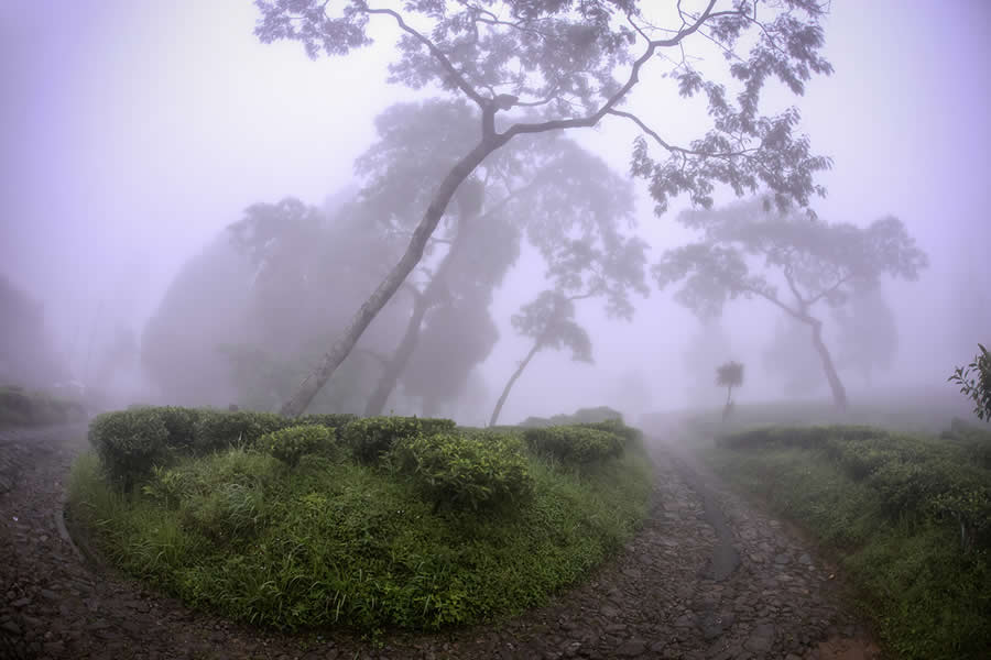 Landscape Photography by Jhuma Datta