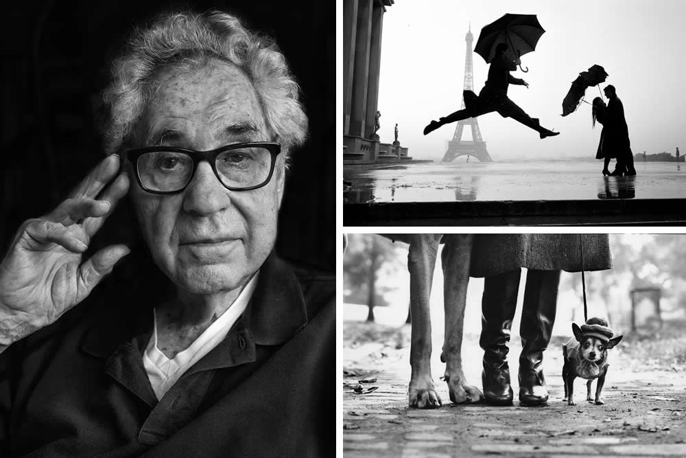 Elliott Erwitt – Humor, Humanity, and the Everyday Extraordinary - Legendary Photographers Who Changed the World