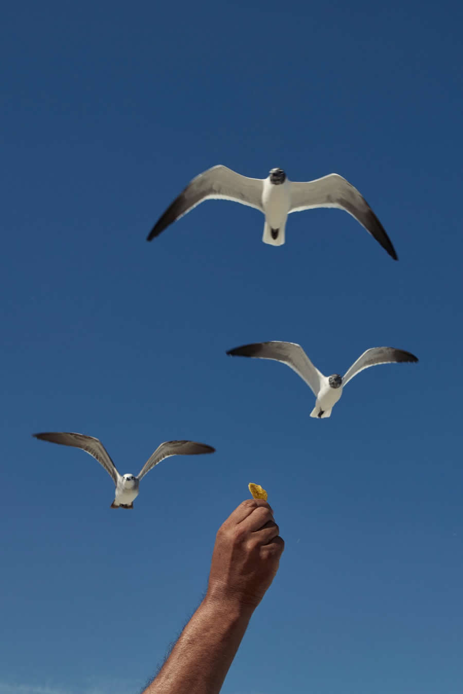 Beach Epiphany by Rodrigo Koraicho, Brazil - LensCulture Street Photography Awards 2025 Winners