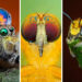 Mesmerizing Macro Photos