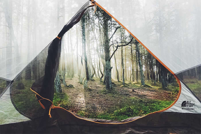 This Photo From Inside A Tent Looks Like Photoshop - Mind-Bending Photos You Won’t Believe