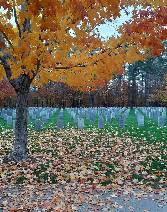 Veterans Cemetery - Mind-Bending Photos You Won’t Believe